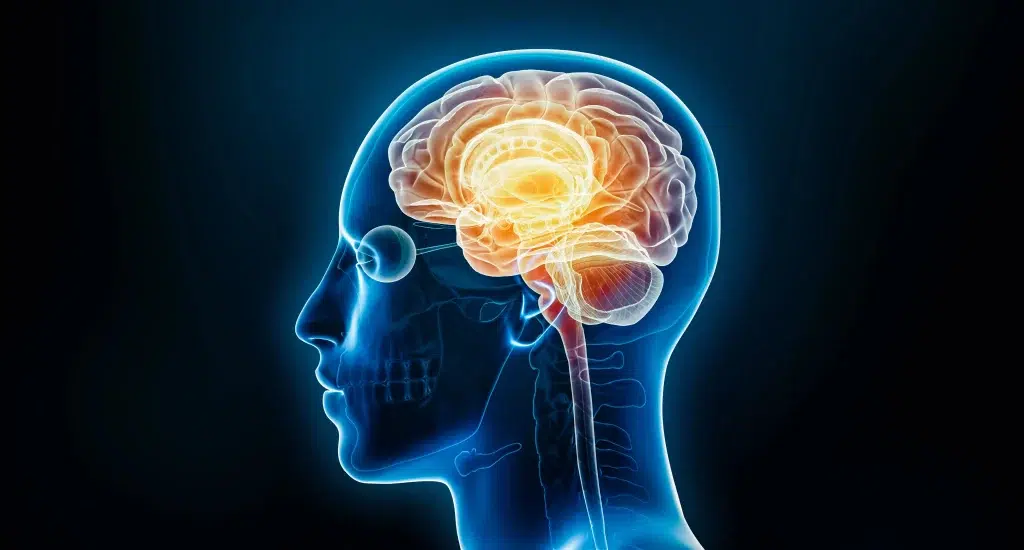 maladie neurodégénérative